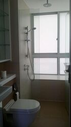 The Regency At Tiong Bahru (D3), Condominium #559873251